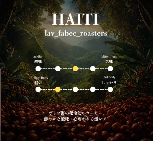 HAITI ハイチ 200g (ブルードゥーブルー NEW CROP)