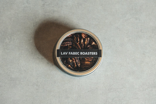 北アメリカ産 ピーカンナッツ